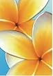 Frangipani (Blue) Art Poster Print - 16" X 20"