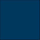 Under Armour Men's HeatGear Compression Short ( sz. M, Navy )