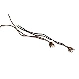 Winkler Eyeglass Lanyards
