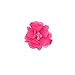 Quest Sweet - Grosgrain Baby Hair Bow Clips (Headbands Not Included,11 Pack)