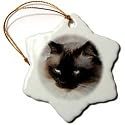 Cats - Siamese Cat - Ornaments