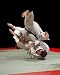 BRAZILIAN JIU JITSU SELFDEFENSE VIDEO FIGHT WORKOUT * dis.2
