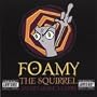 Foamy the Squirrel