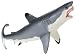 Toys : Monterey Bay Collection- Great White Shark