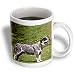 Dogs Australian Cattle - Australian Cattle Dog - Mugs