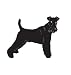 Companion Dog Pet Wire Fox Terrier Car Truck Vehicle Bumper Helmet Decal Sticker Wall Art Laptop Design Skin Stickers