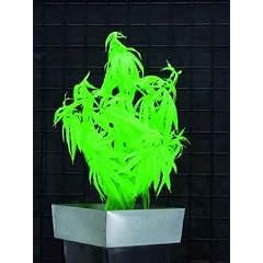 Hanfpflanze, uv-gr�n, 50cm