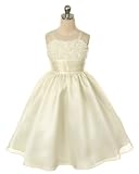 New Mesh Embroidered Organza Flower Girl Dress 2 to 12 Girls Choice of White, Ivory or Black
