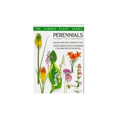 Perennials: Volume 2:  Late Perennials (The Pan Garden Plants series): Late Perennials v. 2