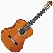CY116 Classical Guitar