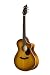 Breedlove Passport Plus C250/SF, Sunburst Guitar