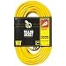 Coleman Cable 01489 14/3 Insulated Outdoor Extension Cord with Lighted End, 100-Foot