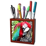 Birds - Greenwing Macaw - Tile Pen Holders-5 inch tile pen holder