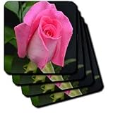 Delicate Pink Rose Pink Rose with Water Drops - Set Of 8 Coasters - Soft