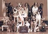 Dog Class Picture Graduation Card