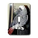 Birds - African Grey Parrot - Light Switch Covers - single toggle switch