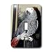 Birds - African Grey Parrot - Light Switch Covers - single toggle switch