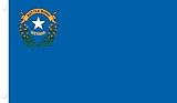 Allied Flag Outdoor Nylon State Flag, Nevada, 2-Foot by 3-Foot