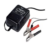 Automatic Sealed Lead Acid Battery Charger for 2v 6v & 12v