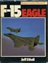 F-15 Eagle (Modern combat aircraft)