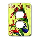 Kids Stuff - Frog I see You - Light Switch Covers - 2 plug outlet cover
