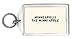 MINNEAPOLIS The Minni Apple Keychain