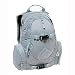 Sporting Goods : Burton Womens Day Hiker Snowboard Backpack 20L, Nickel