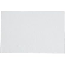 Whatman 10370172 Glass Microfiber Filter Sheet with Inorganic Binder, 12 s/100mL Flow Rate, Grade GF 8, 9.0cm Length x 6.0cm Width (Pack of 100)