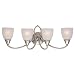 Sea Gull Lighting 40076-962 Pemberton Four-Light Vanity, Brushed Nickel Finish with Satin Etched Glass