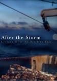 After the Storm: Lessons from the Northern Edge