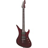 Schecter Hellraiser Avenger Electric Guitar