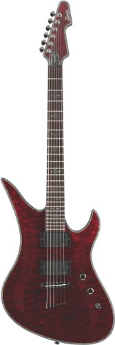 Schecter Hellraiser Avenger Electric Guitar Black Cherry