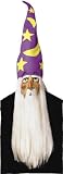 31ymDnTAUWL. SL160  Wizard W Hair And Hat Halloween Mask
