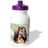 Dogs Dachshund - LONGHAIR Dachshund - Water Bottles