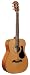 Alvarez Regent Series RF16 Folk Guitar, Natural / Gloss finish