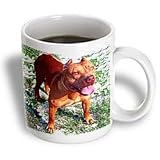 Dogs Pitbull - American Pitbull - Mugs