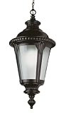 Bel Air Lighting PL-5049 BK  Black Outdoor Hanging Light