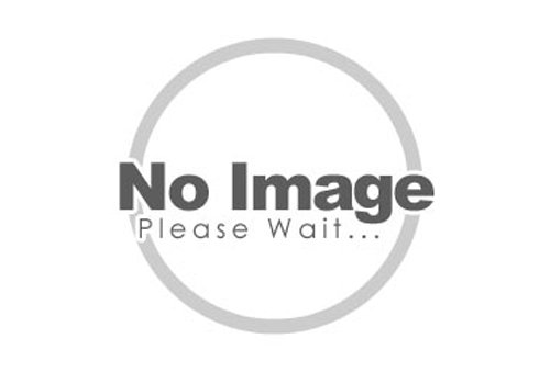 ダンロップ：リムバンド 32-19