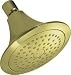 KOHLER K-10282-AF Forte Single-Function Showerhead, Vibrant French Gold