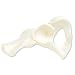 3B Scientific A35/5L Left Hip Bone Model