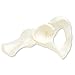 3B Scientific A35/5L Left Hip Bone Model