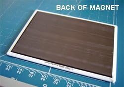 Labrador Retriever Wanted Fridge Magnet (Chocolate)