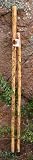 54   Desert Candle  Sotol Hiking Staff