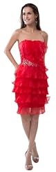 Beaded Sheath Organza  Dress