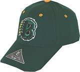 Baylor Bears Adult  One-Fit Hat