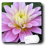 Patricia Sanders Flowers - Inspirations Gratitude - Mouse Pads