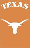 Texas Longhorns 2 Sided Large House Flag Banner