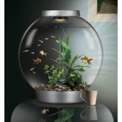 biOrb Silver Aquarium Kit with Light