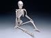Mr. Thrifty Halloween Skeleton (WCP1D) 4th Quality (stand not included)