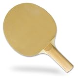 The CSI Sandpaper Table Tennis Paddle - B0000C1XQK